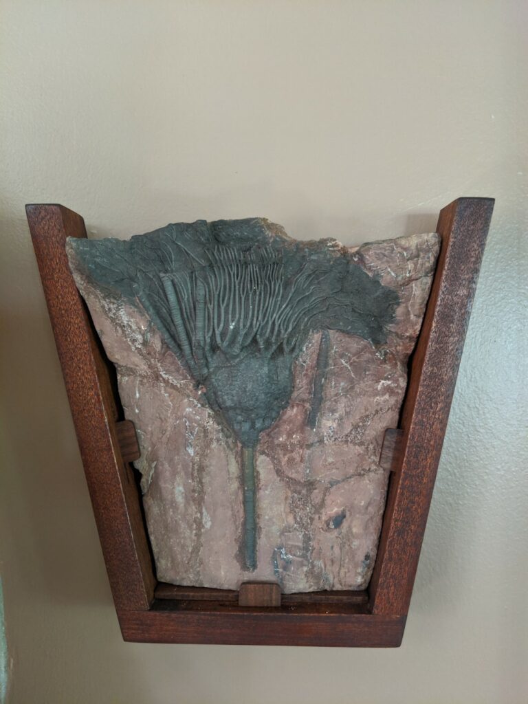 Fossil Art